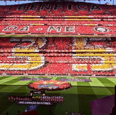 13230266_1295894490424138_7055757709856942805_n